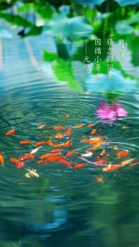 要問(wèn)對(duì)方愛(ài)不愛(ài)自己，首先問(wèn)問(wèn)自己愛(ài)不愛(ài)自己，有幾分？
那么，到底什么才是愛(ài)自己？當(dāng)一個(gè)人真正愛(ài)自己的時(shí)候：去工作是因?yàn)樽约旱陌l(fā)展，不是為了證明自己，我們才能真正快樂(lè)和享受工作；
當(dāng)一個(gè)人真正愛(ài)自己，去精致生活，不是依賴(lài)誰(shuí)，而是淋漓盡致活出最好的自己。配圖