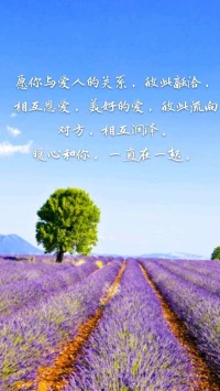 【暖心語】處理好你的親密關系，是需要你好好努力的，不斷學習，改變自己，提升自己。好好愛，暖心和你，一直在一起。配圖