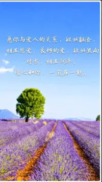 【转】东西坏了，你不想修补，直接扔掉。可是那个你深爱过的人，那个你说过誓言，要共度一生的人，也只如深夜被丢掉的破游戏手柄，和倾盆的大雨一样，只是个不起眼的过客。																																					那些一吵架就说分手的情侣，后来怎么样了？。				永久单身配图