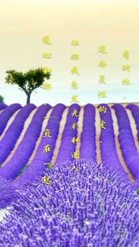 【暖心語】有耐性，這份靈性的愛，讓你我愈發(fā)光彩和迷人，暖心和你，一直在一起。配圖