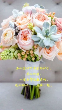 【暖心語	】：今天的自己，有什么收獲和成長呢？每天能認真做好自己，勞逸結合，有所感悟和進步，就已經很不錯了。
在心里種下希望的種子，用心對待，一定會繁花盛開的。
晚安，暖心和你，一直在一起。配圖