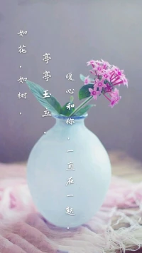 【暖心語】：八月，你若在路上，在行動，就已經很好。
如花，如樹，亭亭玉立，暖心和你，一直在一起。配圖
