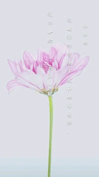 【暖心語	】：晚安，好好休息，好好愛惜自己，照顧好自己的身心，你明白身心健康是首要的，緊要的，其他的，都是次要的。
好好的，這世間仍有很多美和好等著你，暖心和你，一直在一起。配圖