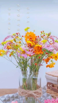 暖心來訪者姣姣分享俞敏洪言之有理，人生只需六個(gè)字來總結(jié)：經(jīng)歷，體驗(yàn)，升華。
經(jīng)歷不同的境遇，體驗(yàn)不同的感受，升華為自己的靈魂。
經(jīng)歷讓人成長(zhǎng)，體驗(yàn)讓人銘記，升華讓人獨(dú)特。
而我?guī)е鴿M腔熱血還在不斷經(jīng)歷。
讓自己的生命，盡可能地綻放更多的色彩，暖心和你，一直在一起。配圖
