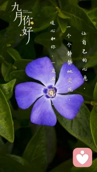 【暖心語	】：九月了，秋意漸濃，你請不要太急切，太焦躁，慢慢來，每天有一些進步就好。
讓自己的心愿，一個個靜靜地實現，暖心和你，一直在一起。配圖