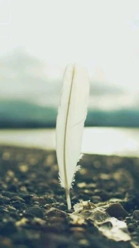 【轉】真正的內心強大，就是活在自己的世界里，而不是活在別人的眼中和嘴上。人生在世，無非是笑笑別人，然后再讓別人笑笑自己。配圖
