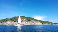 【歡心語】記憶是一位帶有太多偏見和情緒的編輯。他常自作主張地留下他喜歡的東西。而對那些不盡如人意的事情充耳不聞。在這種剪輯下，玫瑰色的往事清晰如昨，一切美好的時光也被注入了神奇的魔力，不開心的日子慢慢消退，直至消失，只留下一片頗具魅力、朦朦朧朧的陽光歲月。配圖
