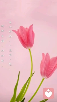 【暖心語】你的感情婚姻關系可還好？你自己有看到自己的不足，并去改善你們的關系了嗎？
好好生活，好好愛，暖心和你，一直在一起。配圖