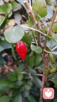 當我們內心還比較弱的時候，或者在一段關系中是弱勢一方的時候，我們特別需要公平，特別需要平等。配圖