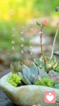 【暖心語	】：心里，眼里，別裝滿怨恨，消沉，不滿和頹敗，多些感恩，期許，小美好，過好當(dāng)下，平和溫暖。
讓心敞亮，讓眼睛會(huì)笑，好好過好今天，暖心和你，一直在一起。配圖