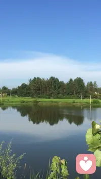 每日一語，讀三遍并能背誦運用到生活中：我以慈悲心對待自己與別人。配圖