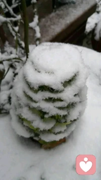 没经过充分考虑，不要做重大人生决定哦。配图