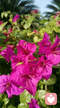 打破幻想是可怕的，然而一旦有勇气落地，那种稳定感和踏实感会油然而生，同时你会发现真实的自己与真实的生活就在眼前，你会体验到真实是那样的自在与喜悦。配图