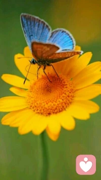 痛苦往往来自于自我的折磨，化解痛苦往往开始于接受真实的自我。配图