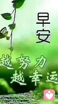 当你的才华还撑不起你的野心的时候，你就应该静下心来学习；当你的能力还驾驭不了你的目标时，就应该沉下心来历练；梦想，不是浮躁，而是沉淀和积累。配图