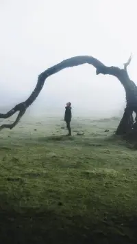 【轉】成長就是妥協與堅持的兩難。	

?配圖
