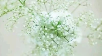 【轉(zhuǎn)】談戀愛，	一定要找一個(gè)讓你少女心爆棚的人，而不是讓你成為怨婦的人啊。配圖
