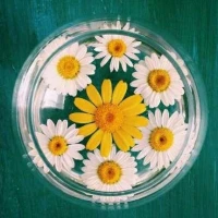 【轉(zhuǎn)】人們遇到困難挫折之后不同的人會(huì)產(chǎn)生不同反應(yīng)，成長(zhǎng)性思維者或心理靈活者會(huì)積極應(yīng)對(duì)：積極進(jìn)取，總結(jié)經(jīng)驗(yàn)，變革創(chuàng)新，吃一塹長(zhǎng)一智，價(jià)值明確，目標(biāo)清晰，堅(jiān)韌不拔，承諾行動(dòng)，或者靜待時(shí)機(jī)，做足準(zhǔn)備，隨時(shí)行動(dòng)。很多成功者都是這類人，所以心理靈活性和成長(zhǎng)性思維極為重要。配圖