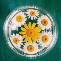 【轉(zhuǎn)】僵化思維者或心理僵化者卻會(huì)消極應(yīng)：對(duì)退縮退行或攻擊侵犯，退縮時(shí)就會(huì)宅居，網(wǎng)癮，啃老，或成為所謂巨嬰，攻擊侵犯時(shí)可能會(huì)傷害自己或者他人，有時(shí)會(huì)攻擊無辜者，弱勢(shì)群體，變成擴(kuò)大性自殺。很多社會(huì)惡性案件多是這類人所致。配圖