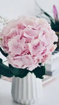 【轉】心理咨詢室里的秘密:
心理咨詢師的收費是根據我們陪伴來訪者的時間來計算的，或者說我們售賣的是時間而不是治療效果。
我們回答來訪者經過多少次治療會有效果的時候，我們比較好的說法就是你要解決的那些心理問題也許會被解決，但是我不敢肯定會解決。
如果有咨詢師說包好并且你還相信的話，那你很可能就處在巨大的退行中間，而且你的潛意識一定會為攻擊這個咨詢師做準備，意思就是我拿我的癥狀跟你競爭，如果經過多少次治療我的癥狀沒有改善的話，你就敗了。很多來訪者在潛意識層面都會通過用他的癥狀來打敗一下貌似強大的治療師來滿足他自己的自戀，作為一個經驗豐富的治療師不應該給來訪者配圖