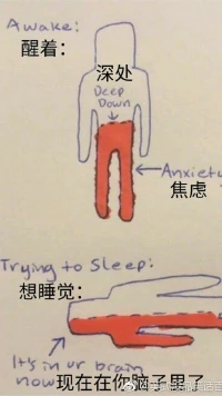 【轉】這就是你為啥睡不著。。。。。。。。。。。配圖