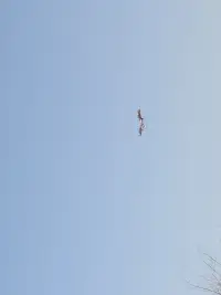 當你因為別人傷害你而感到痛的時候，此時，你的痛已經跟對方無關了，即使他不在你的痛還是會在，還會是痛，所以這時候，你要面對的是“痛”，就像狗咬你一口跑掉了，你要面對傷口的痛，而不是恨狗。而痛是需要時間去面對及褪去的。	???配圖
