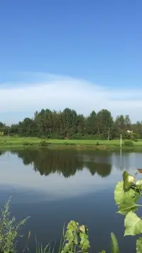 把下面的話讀三遍并運用到自己生活中：我內(nèi)在的財富給我許多樂趣。配圖