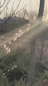 【轉】人生總有艱難的時刻，不管你現在遭遇了什么痛苦，都要絕對相信：所有的難題都有解決的方法，只是有的需要時間、有的需要從不同的角度去看、有的需要換一個環境、有的需要換人、有的只是需要別人的一個小幫助。
沒有任何人、任何事會永遠不變，
包括你以為不能忍耐的痛苦和困境。	
即便一無所有，還有內在的善和愛，
它們會帶你走向光的地方。配圖