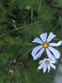 首先要做一個(gè)合格的傾聽著！用“心”傾聽配圖