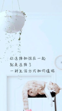 【暖心語】：在平凡的日子里，活出自己生命的盛大與光彩。
好好生活，好好愛，暖心和你，一直在一起。配圖