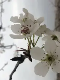 書本告訴我們，你尊重別人，別人也會尊重你。但生活告訴我們，想要別人的尊重，除了在尊重別人的基礎上，你還需要一點能力和特長，才會獲得別人的尊重。這就是理想和現實的差距。配圖
