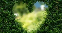 【轉】【關系】“家庭關系中，要避免的不是沖突，而是沖突中的傷害！‘


經營’好沖突，讓沖突無傷害，反倒更有助于你和家人之間的相互理解，情感更加流動!”配圖