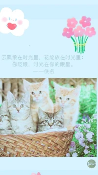 【暖心語	】：你今天想讓自己垂頭喪氣，灰頭土臉，還是淡定陽光，泰然自若呢。
你看看你現在是怎樣的狀態呢？噢，我看到你平和的樣子有光芒，愛笑的眼睛很好看，你就是美好的小時光，暖心和你，一直在一起。配圖