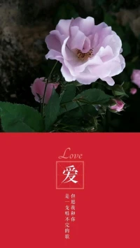 【暖心分享，	靠譜，是比聰明更重要的品質	】：聰明常見，靠譜難得。不耍小聰明，把每件事都做到能力邊界內的最好。做事讓人放心，提高做事標準，給人確定性。做事有首尾，有著落，做人有擔當，這是靠譜的最高境界。
做一個靠譜的人，暖心和你，一直在一起。配圖