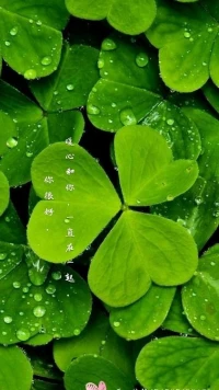 【暖心語】	：保持心態的平和，樂觀。修養身心，動靜結合，去惡留善、發揮自身長處，容納天下的胸懷成就自我。
擁有對這個世界最深的善意和悲憫，相信來自內心深處的力量。
你很好，暖心和你，一直在一起。配圖