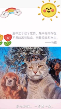 【暖心語】：記得讓自己用健康的飲食，良好的心態，規律的運動，充足的睡眠，去寵愛自己的身體和心靈。簡單，自然，愉悅，你就會向著越來越好的方向變化。
愛自己，愛生活，暖心和你，一直在一起。配圖