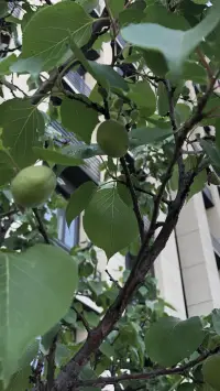 情緒穩定，是一個成人最核心的能力。從實際生活中就可以發現，真正優秀的人，會讓你從心底產生信任感、安全感、親近感的人，往往都是情緒很穩定的人。不管一個人多么有能力、有才華，如果他情緒起伏不定，就會讓人避之不及。起伏不定的情緒就像是不定時炸彈，讓周圍的人感到不安全、惶恐不安。很多人做了很多，一個情緒起伏就會將所做的一切一筆勾銷。配圖