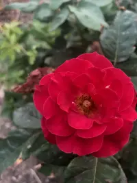 【轉(zhuǎn)】幸運的人一生都被童年治愈，
不幸的人一生都在治愈童年。
——阿德勒???配圖