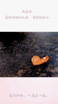 暖心分享：愛的重要特征之一，在于愛著與被愛著，都不是對方的附屬品。付出真愛的人，應該永遠把愛的對象視為獨立的個體，永遠尊重對方的獨立和成長。
愛一個人不一定要擁有，擁有一個人，一定要好好珍惜。我愛你，愿你安穩地生活，自然地老去，暖心和你，一直在一起。配圖