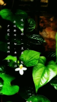暖心分享：老天是公平的，它一邊給你苦難，一邊讓你快樂。生活的苦與樂總在更迭，沒有誰的命運是完美的，有時殘缺也是一種美。
少抱怨，調(diào)整好心態(tài)，樂觀面對一切，安心生活，暖心和你，一直在一起。配圖