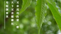今天是父親節，愿愛滿天下，父親永年輕。
父親沉沉的愛，父親慈祥的笑，父親暖暖的懷抱，讓弱小的我們逐漸成長，經歷風雨而不覺冷懼。配圖