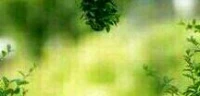 常言道，母愛如水，溫柔細膩；父愛如山，深沉厚重，含蓄內斂。

如果說真愛包含了softlove（柔軟之愛）和toughlove（堅韌之愛）兩個元素，母愛更多讓我們感受到softlove，有恩慈，有接納，有疼惜，那么父愛會更多讓我們想起toughlove，有界線，有規則，有引導。配圖