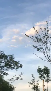 人們唯一值得恐懼的是恐懼本身。配圖