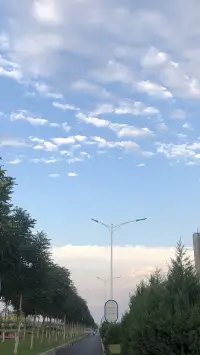 選擇比努力更重要。配圖