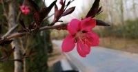 【轉(zhuǎn)】有些路注定走不到柳暗花明，但那并不代表著是你錯了。要知道，很多失望和絕望都只是為了提醒你，也許該換個方向走了。配圖