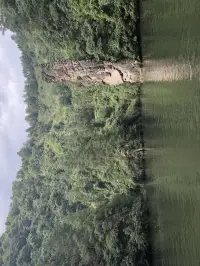 心理咨詢，不是包治百病，凡所謂包治百病皆忽悠。其次，如果自己不愿意付諸行動改變自己，花再多錢以指望心理治療能“一語百了”是一種妄想。精神疾病，需要綜合醫治。配圖