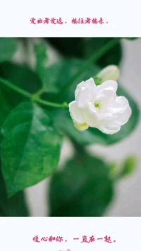暖心分享：與人交往，可能會(huì)失望、會(huì)被辜負(fù)、被傷害，但只要我們學(xué)會(huì)用欣賞的眼光看待他人，心存感恩之心，用一顆善良的心對(duì)待他人、幫助他人，就一定能感覺到人世間的真情與溫暖。
愛出者愛返，福往者福來，暖心和你，一直在一起。配圖