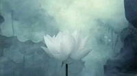 某些心理痛苦的根源，或許是對(duì)無(wú)法改變的現(xiàn)實(shí)的反應(yīng)，個(gè)人的痛苦，不應(yīng)該被看做個(gè)人脆弱或者有缺陷，而是人們?cè)诓焕沫h(huán)境中奮力前行，為了適應(yīng)、成長(zhǎng)、生存而留下的印記。配圖
