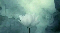并不能說同性戀群體容易傳播艾滋病，嚴格的說，所有危險性行為，都有可能傳播艾滋病，這跟性傾向無關。配圖