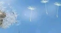 成人世界不是二元对立，不是非黑即白。
您处于何种状态？灰色地带？配图